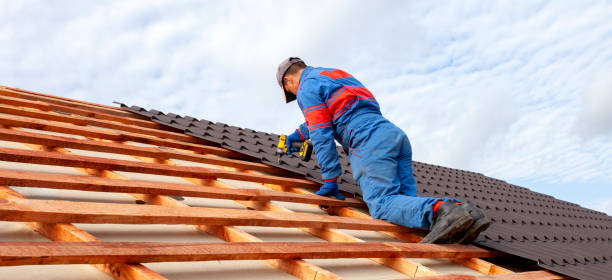 Best Roof Maintenance and Cleaning  in Farley, IA